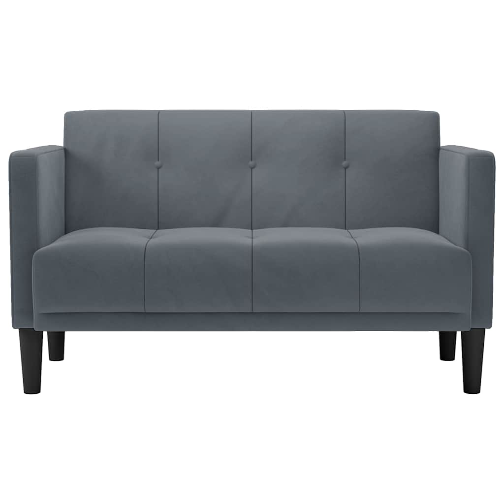 2-Seater Sofa | Soft Velvet Upholstery & Modern Design