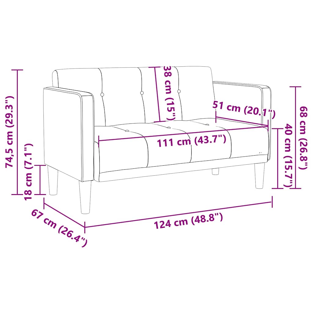 2-Seater Sofa | Soft Velvet Upholstery & Modern Design