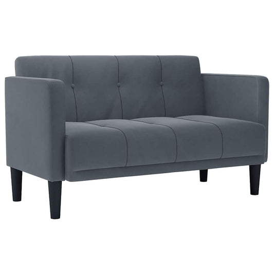 2-Seater Sofa | Soft Velvet Upholstery & Modern Design
